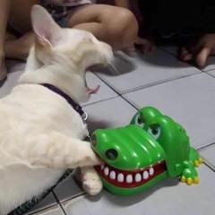 Drum & Bass / Neurofunk - 2019 Session