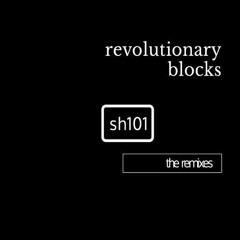 Revolutionary Blocks - Sh101 (Gai Barone Morgen Remix) Sample