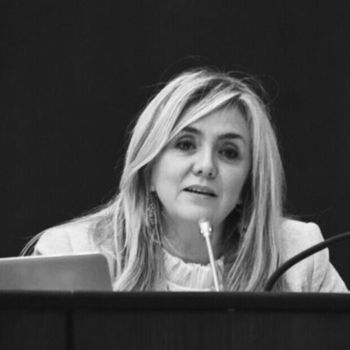 Stream Ley Endeudamiento 200 millones USD Nota Radio Nacional Zapala by