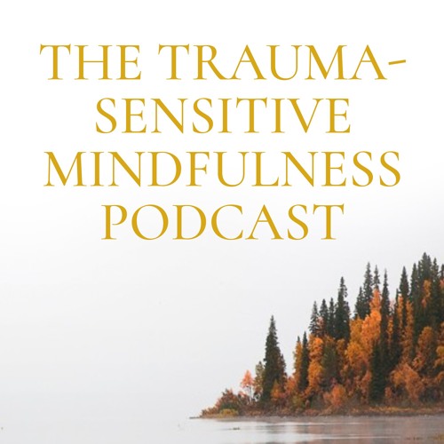 trauma sensitive mindfulness book