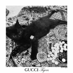 GUCCI TIGERS (F. Killa)
