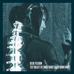 Test Subject 39 | MOOD EXHIBIT [GLASS ROOMS MIX]
