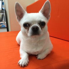 00000000000001k & SEBEK - Пососи мой гребень