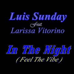 Luis Sunday Feat. Larissa Vitorino - In The Night ( Feel The Vibe ) Edit Mix