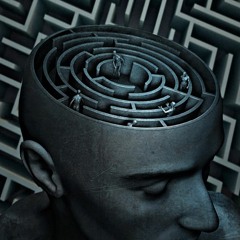 Stuck In A Maze