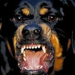 Future x ATL Jacob Type Beat