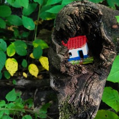 Rapt(cover Karen O)- Trina Stulc