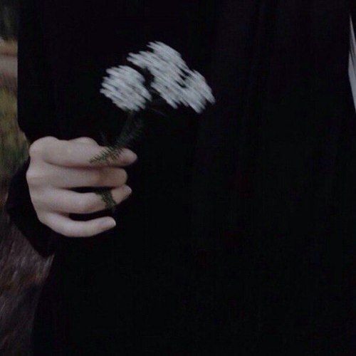 hiding from love( aka darling )