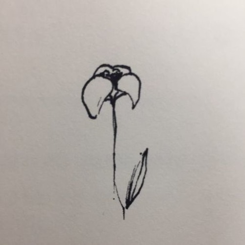 FOR