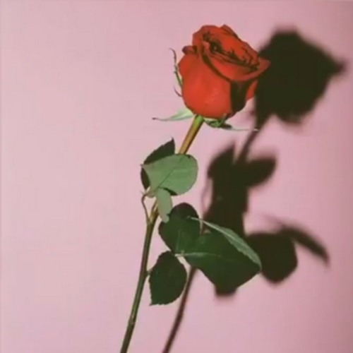 Ty - Dont Want Me