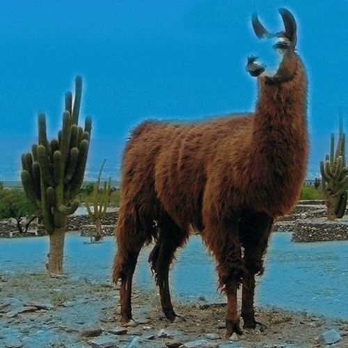 Maī Hīgh - Jūnė 2019