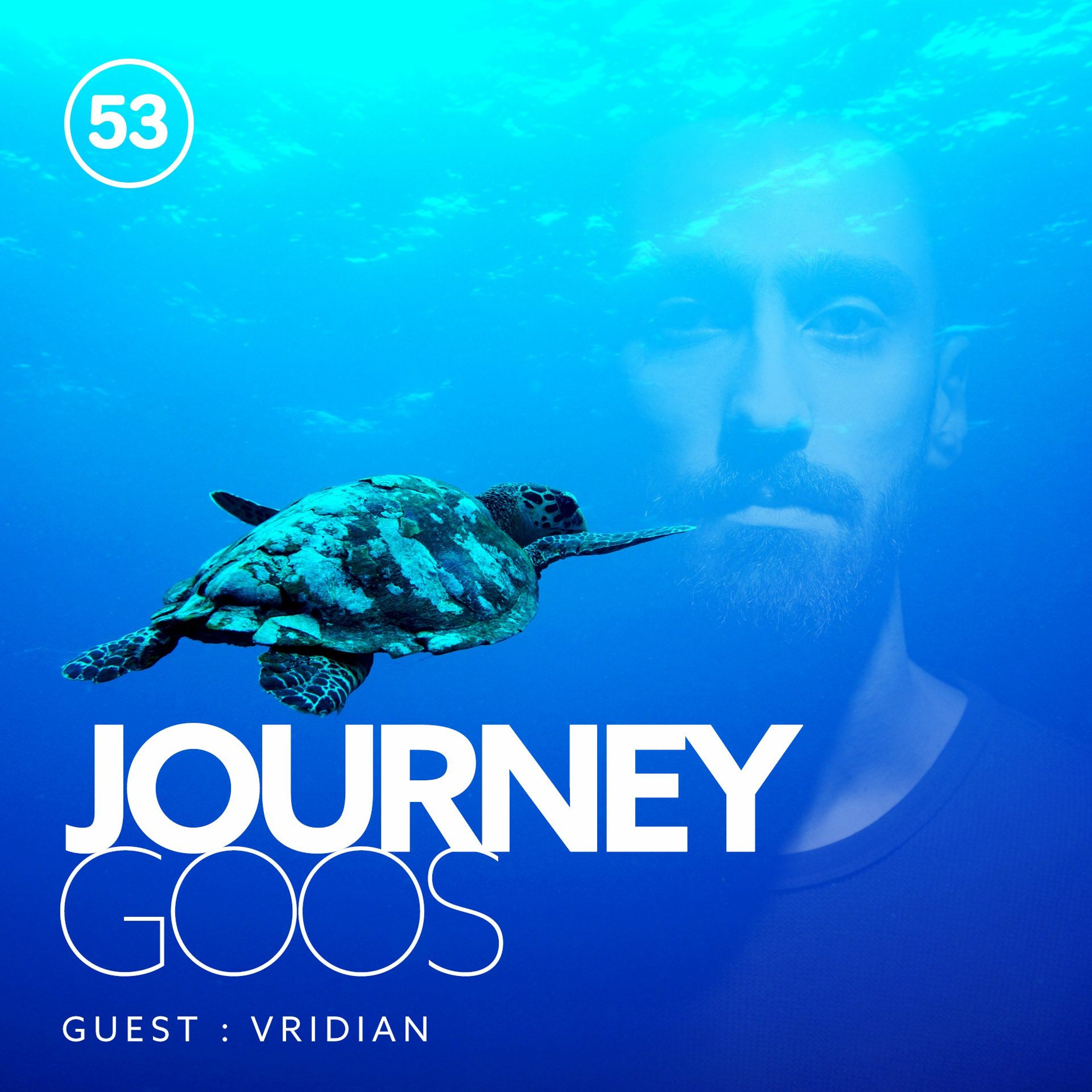 Journey - Episode 53 - Guestmix by Vridian thumbnail