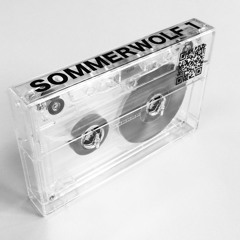 Sommerwolf 1 Album Teaser
