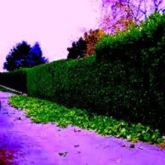 Elle a dit faut pas dire des choses comme ça - Instru. Kettara music