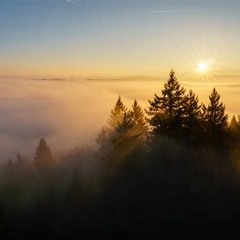 Dalta Mora - Wendepunkt