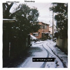 Tennyson - Wintersleep (Maynix Remix)