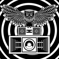 Owl System