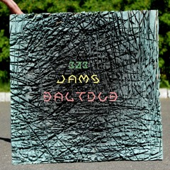 303 & Potential DifferenSe - Toadstul [303 - Baltdub (2019)]