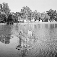 Still Water's Fine With Me