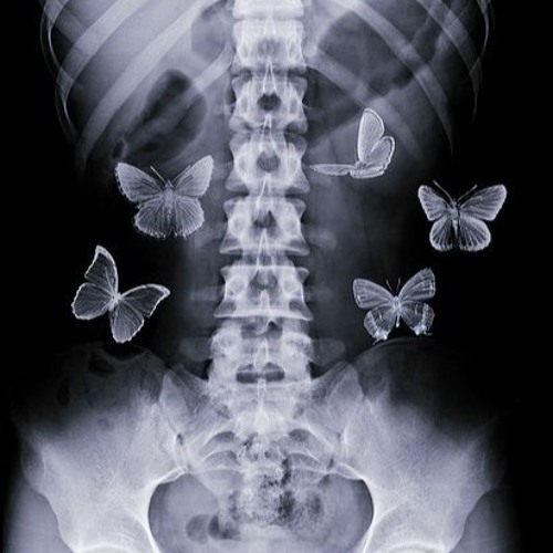 Butterfly in my stomach