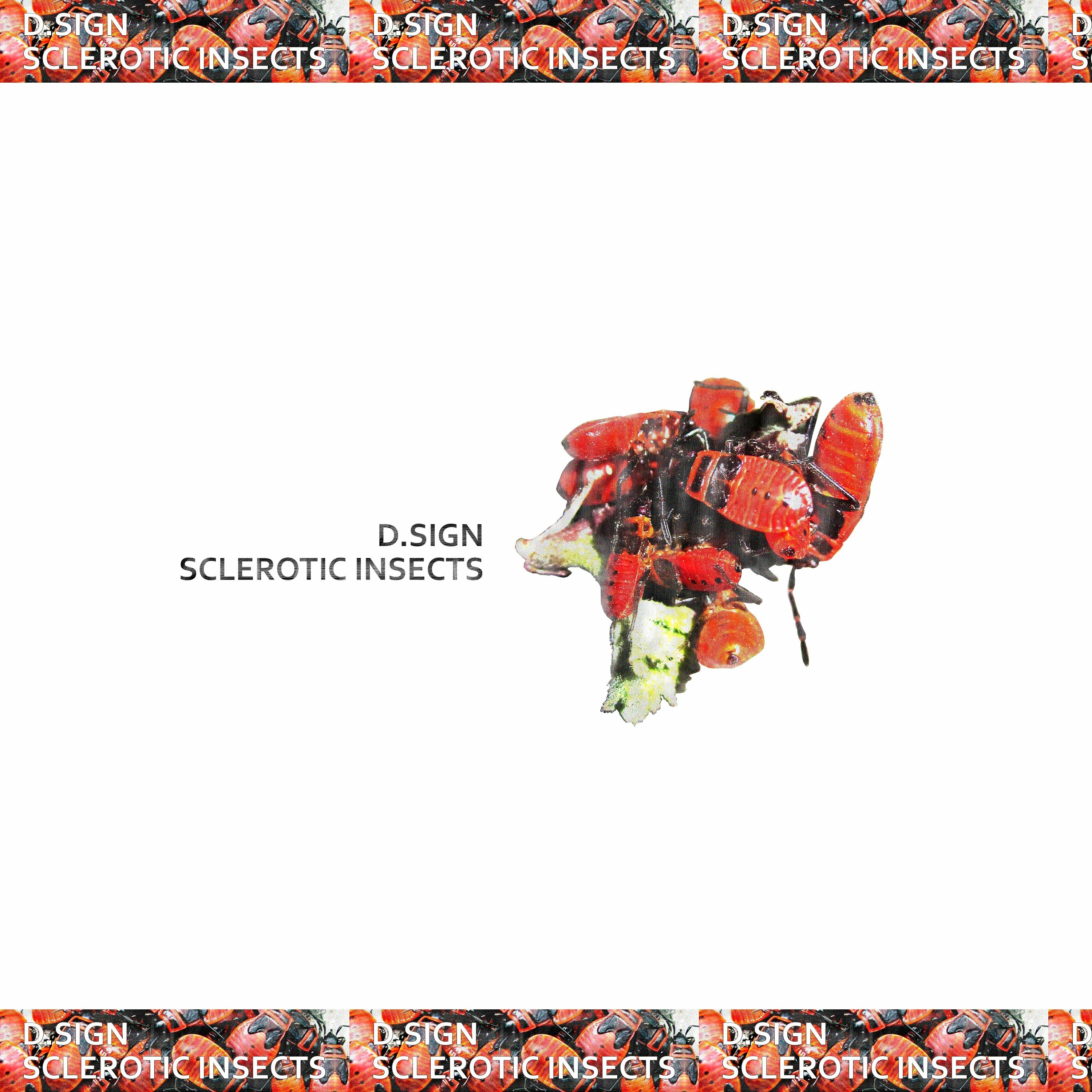 Sclerotic Insects episode artwork