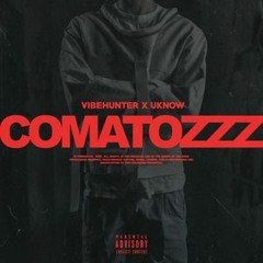 Vibehunter - Comatozzz