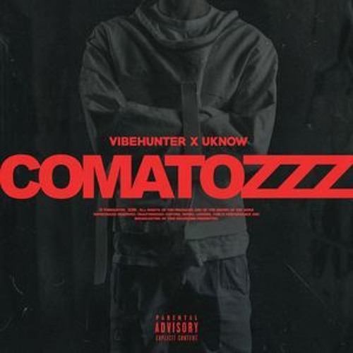 Vibehunter - Comatozzz