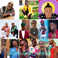 DJ - TRIGGY 2019 LIB  MIX