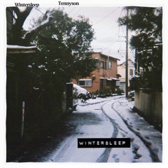 Tennyson - Wintersleep (runadam Remix)