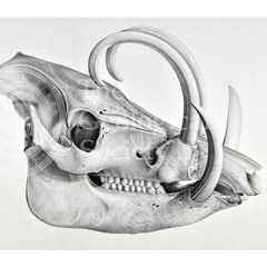 Бибоп и Рокстэди