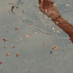 Kim Caputo - Texts from my ex