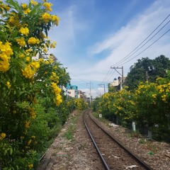 Đừng Lo (Tùng) cover