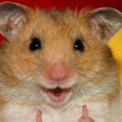 Кумыс- Блохи