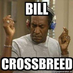 CrossbreedOneSevenFive