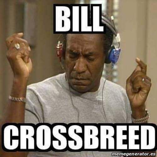 CrossbreedOneSevenFive