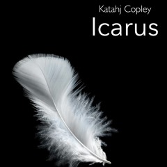 Icarus (ii. Hubris of Flight)