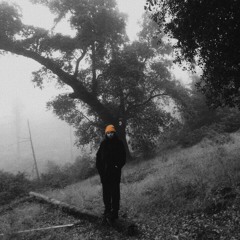 Live from RocknSol Fest.