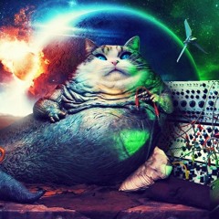 Allstyles - Pitch-Hiker 2019 (Preview)  ((Ode to Marc Acardipane))