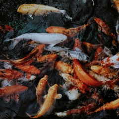 Angkanang Kunchai - Kid Hod Chu (Oscar Waves Remix)