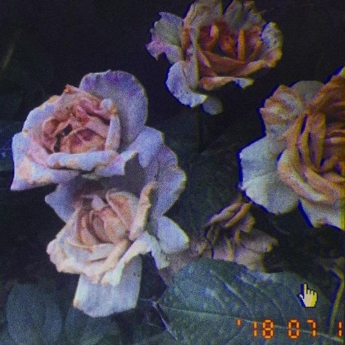 Las Flores de Ayer (maqueta)