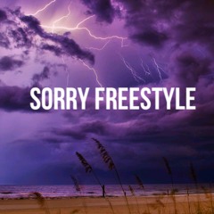 Sorry Freestyle