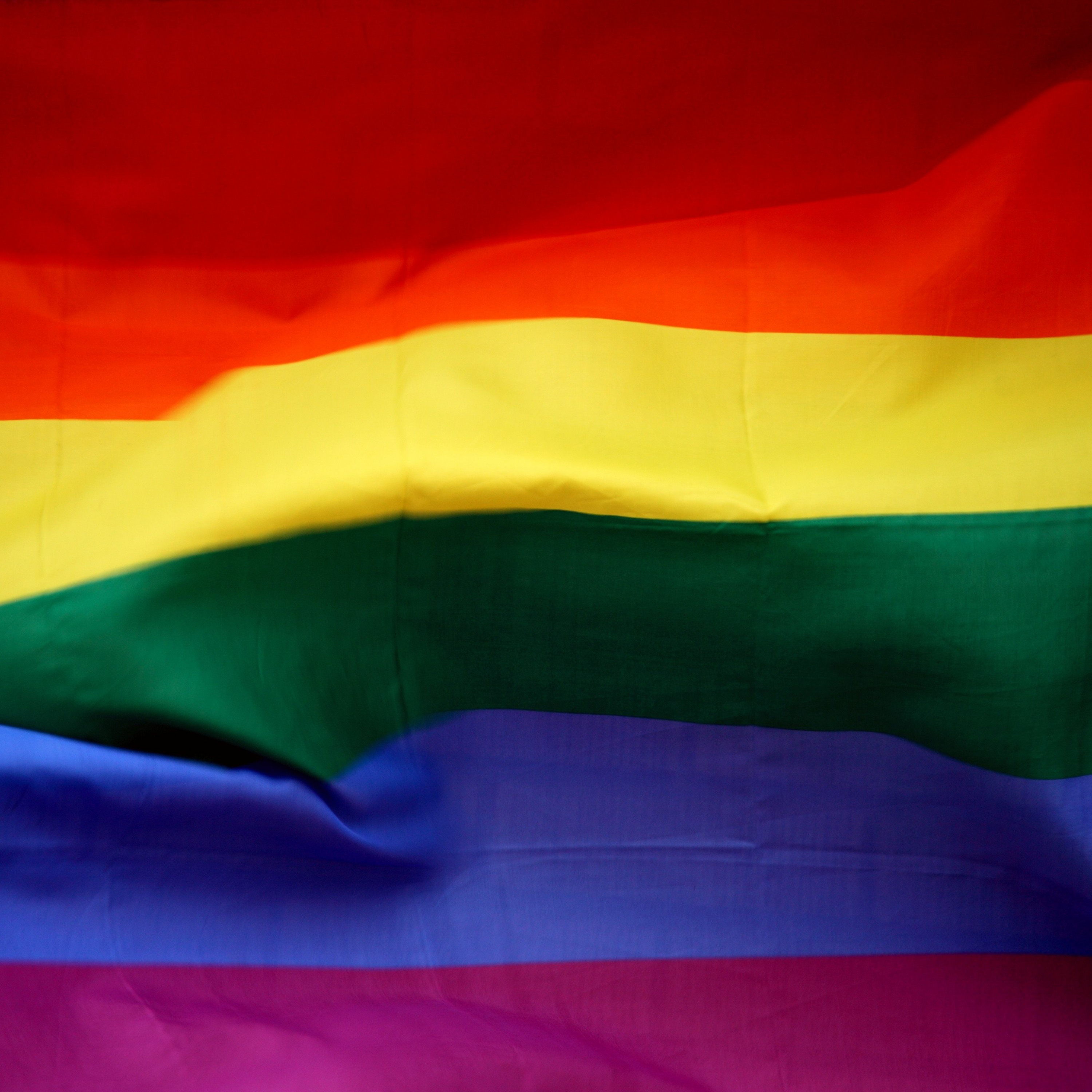Pride, Progress and Politics: 50 Years Since Stonewall episode artwork