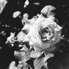 TechYesOne 06/02/2019