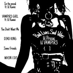 In the Mood (Feat. Lil Raven x Lil V4MP1R3)