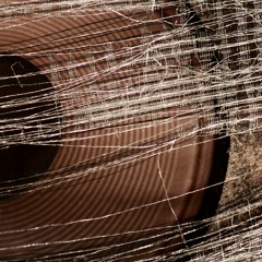 Daniel Tree - Distoser