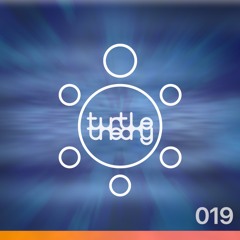 turtletheory - [019] - air