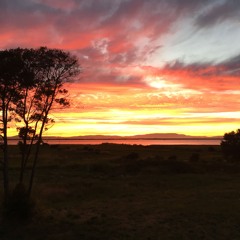 Jake Jacobs - Setting Sun