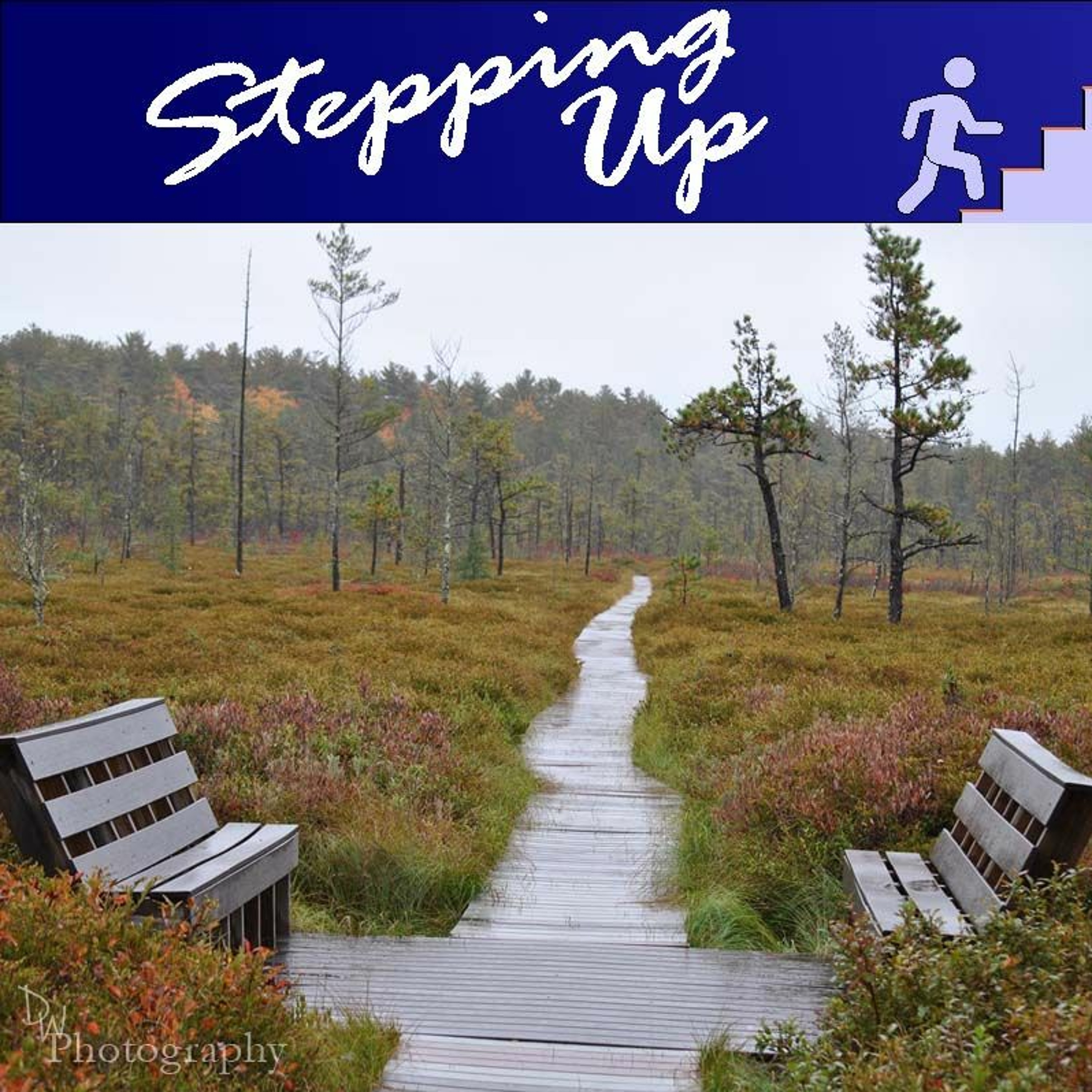 Developing Your Observer Self - Stepping Up To Your Potential Podcast episode artwork