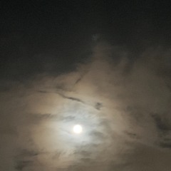 Hangover Gone - 2 1 16, 3.44 PM