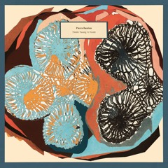 Pierre Bastien - Pet Step [from Tinkle Twang 'n Tootle]
